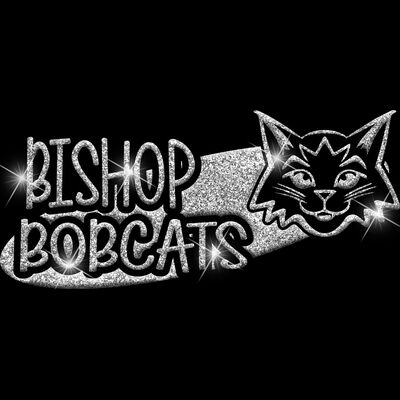 GLT100 SILVER GLITTER Thumbnail