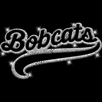 GLT78  SILVER GLITTER Thumbnail